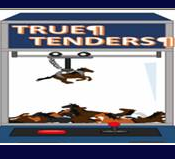 Advanced horse racing software