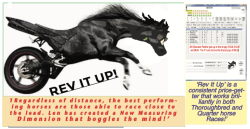 REV IT UP!!!!  Len Creates a New Speed Measuring Dimension that Blends Consistency with Price that Works Brilliantly in Both Thoroughbred & Quarter Horse Races!!