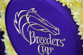 The 'BC' BUSTERS!!!  Software that you can RELY ON to Make Your Breeders' Cup Day Much, MUCH Merrier!!  And they are ALL on SALE!!  Check this Out!!