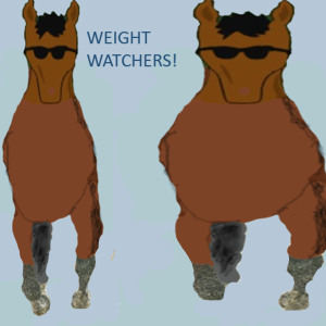 NEW!!  WEIGHT-WATCHERS!!!  Powerful Weight Pattern Formulas that Produce Extreme Across the Board Consistency!!  ++ NEW!! Multi-Factor Snapshot Screen!